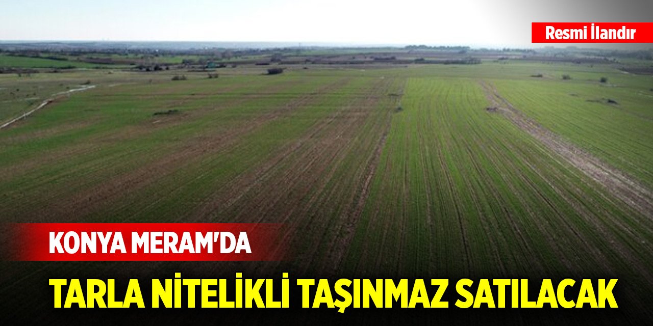 Konya'nın Meram ilçesinde tarla nitelikli taşınmaz satılacak