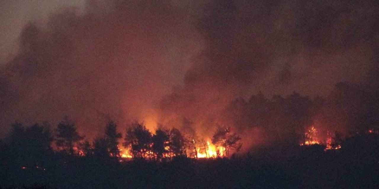 Çanakkale’deki orman yangınına karadan müdahale devam ediyor
