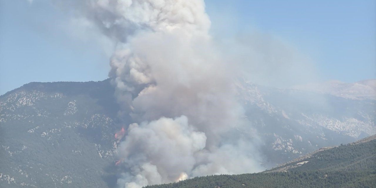 Denizli’de orman yangını... Söndürme çalışmaları aralıksız devam ediyor