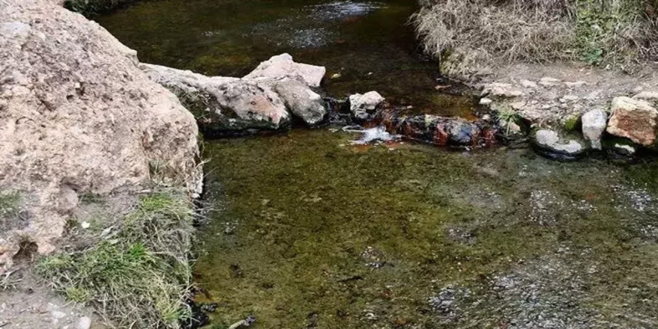 'Şifalı' denilen suya giren çift hayatını kaybetti