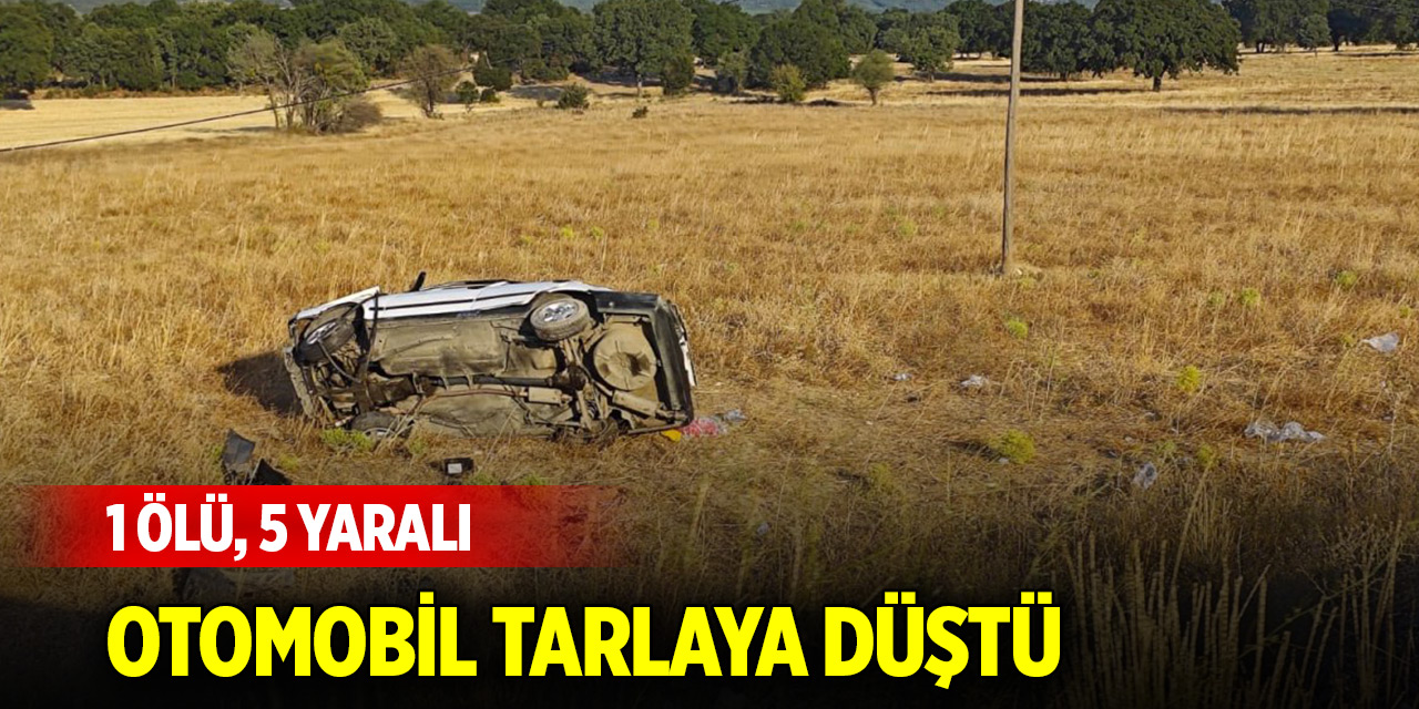 Otomobil tarlaya düştü: 1 ölü, 5 yaralı