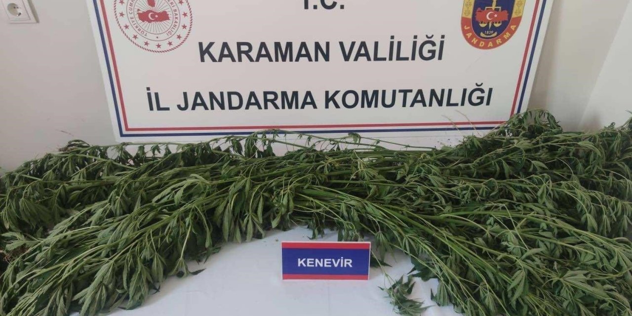 Kenevir ve 63 adet fosil ele geçirildi