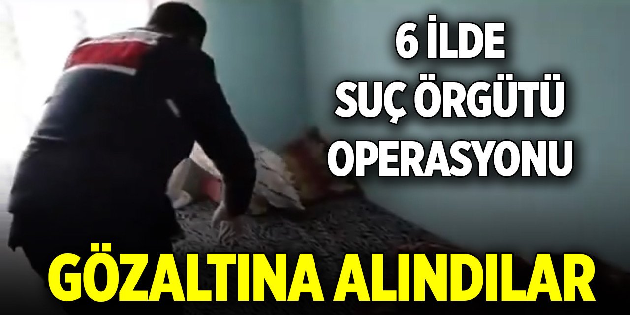 Organize suç örgütüne yönelik 6 ilde düzenlenen operasyon! 20 şüpheli yakalandı