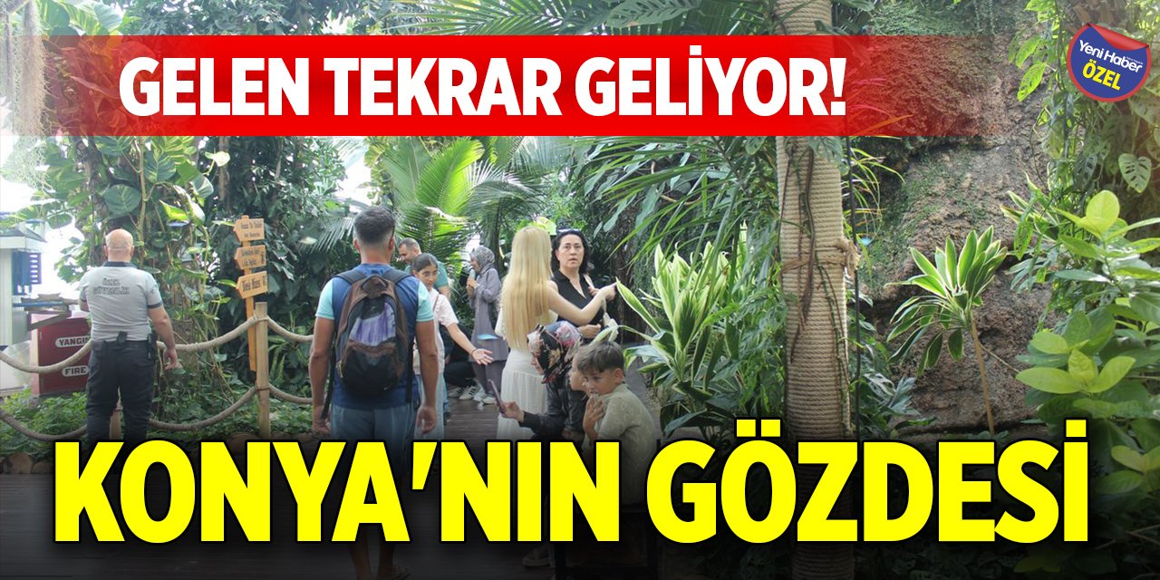 Gelen tekrar geliyor! Konya'nın gözdesi