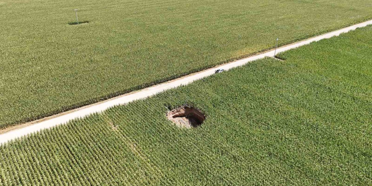 Konya'dan sonra Karaman'da da sayıları artmaya başladı