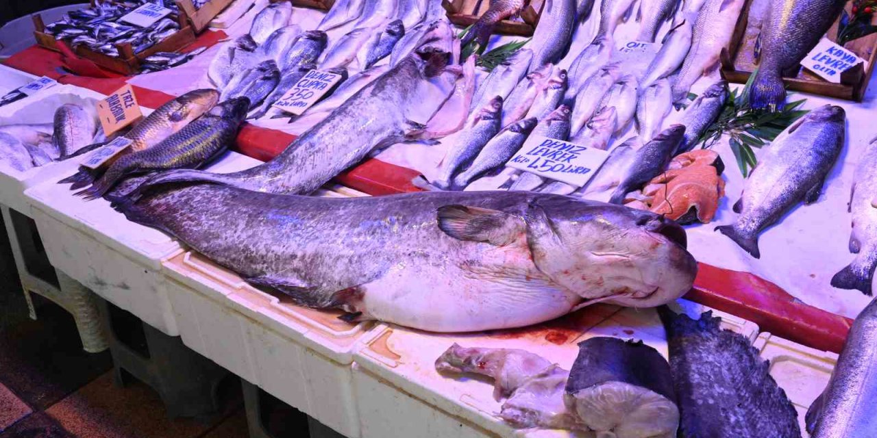 ’Canavar gibi’ diyorlar ama canavar değil!