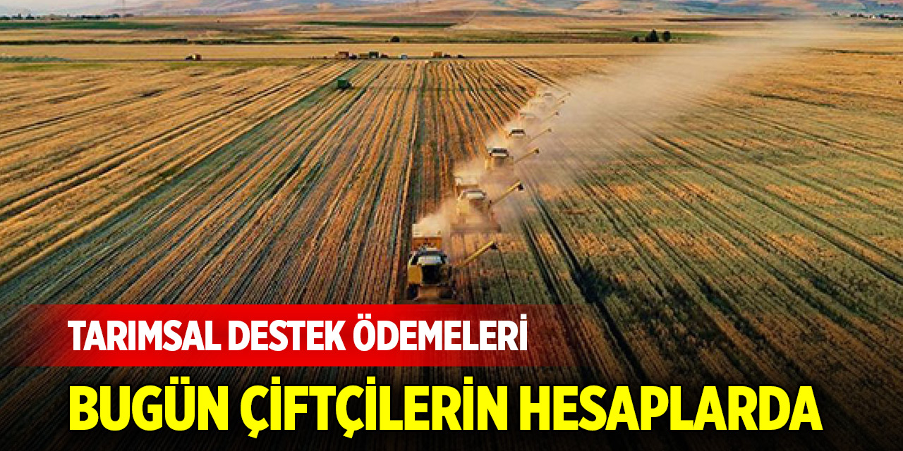 Tarımsal destek ödemeleri bugün çiftçilerin hesaplarına yatıyor