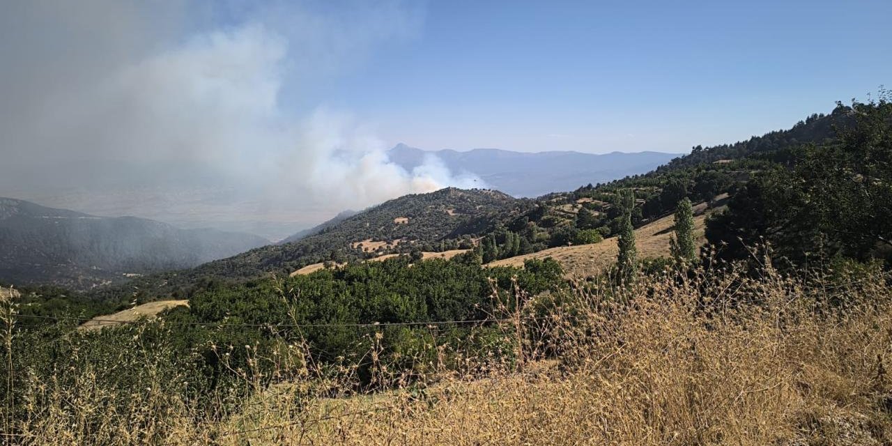 Denizli'de orman yangını çıktı