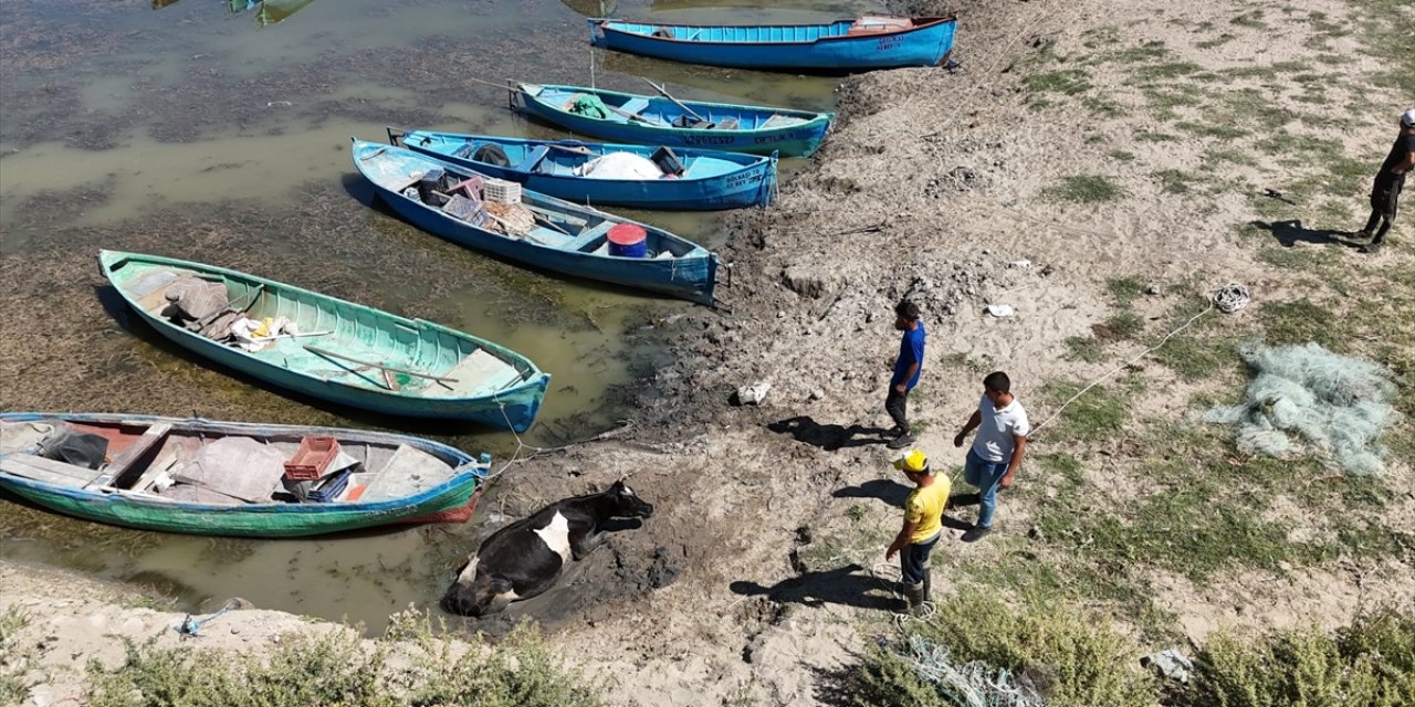 Konya'da göl kıyısında çamura saplanan inek böyle kurtarıldı