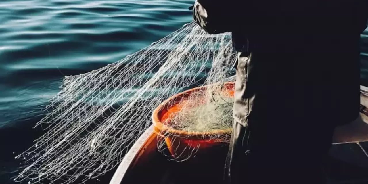 Denizlerde rekor sıcaklık! Av sezonu etkileniyor