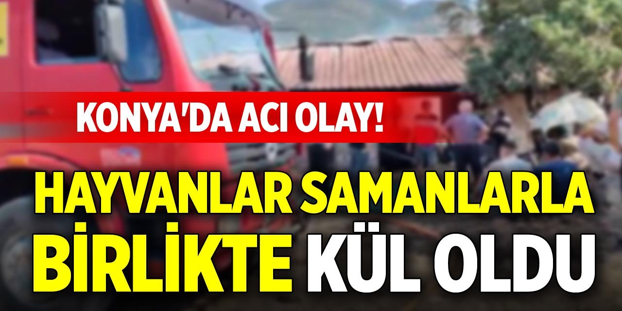 Konya'da acı olay! Hayvanlar samanlarla birlikte kül oldu