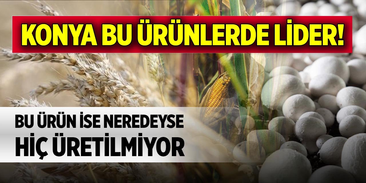 Konya bu ürünlerde lider! Bu ürün ise neredeyse hiç üretilmiyor