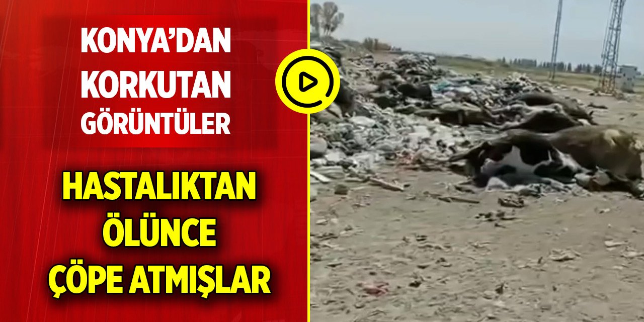 Konya’dan korkutan görüntüler! Belediyeye acil çağrı