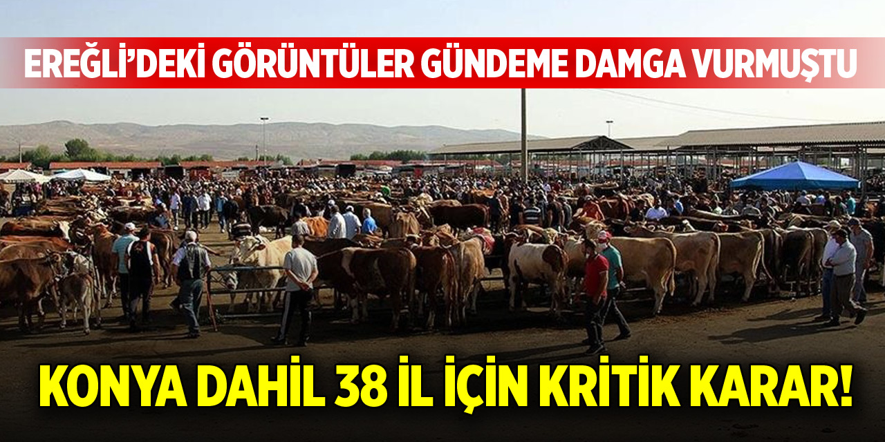 Konya dahil 38 ildeki hayvan pazarlarıyla ilgili yeni karar