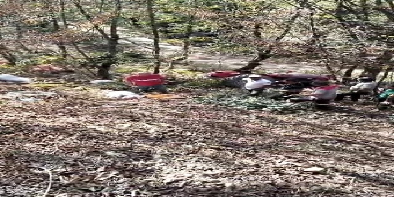 Fındık bahçesinden dönen traktör devrildi, sürücü hayatını kaybetti