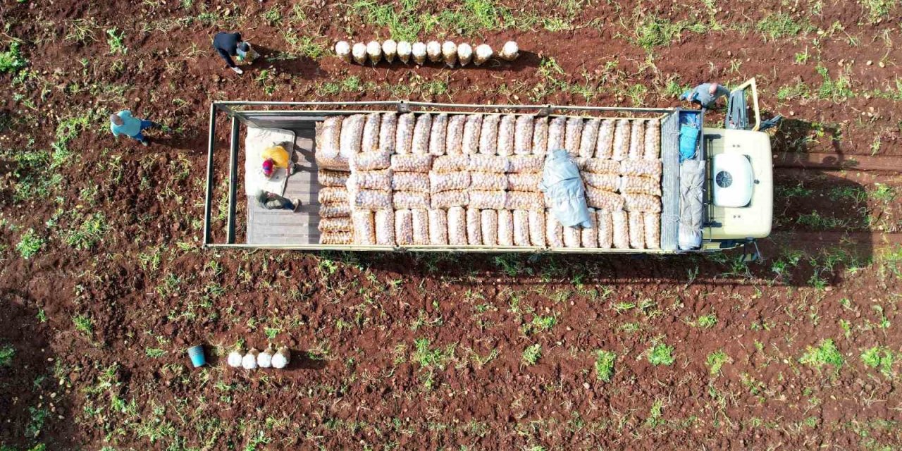 Ağustosta fiyatı en çok düşen ürün belli oldu