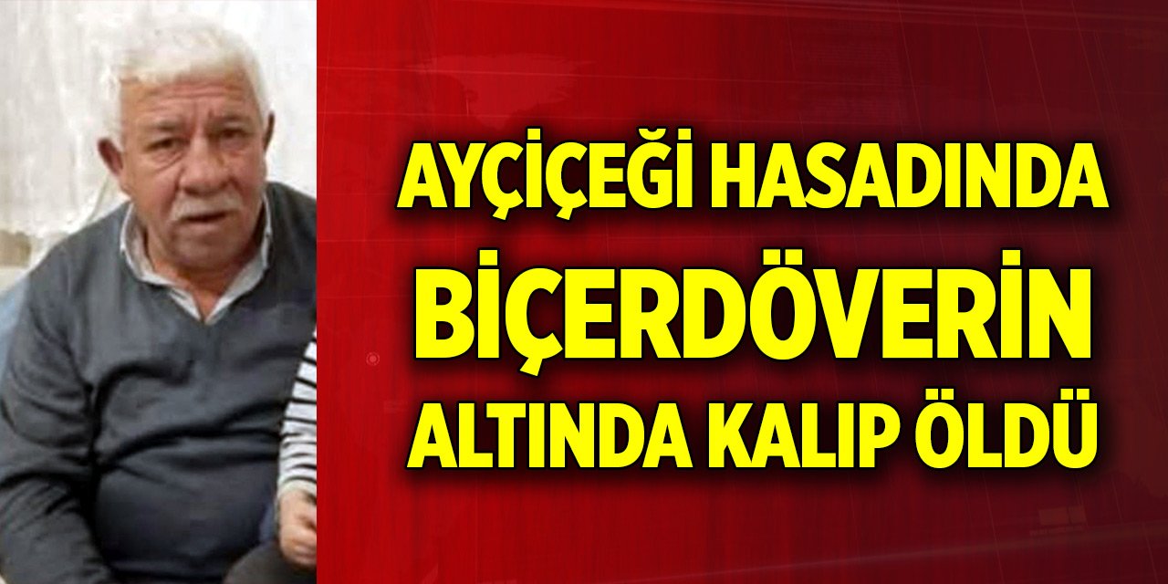 Ayçiçeği hasadında biçerdöverin altında kalıp öldü