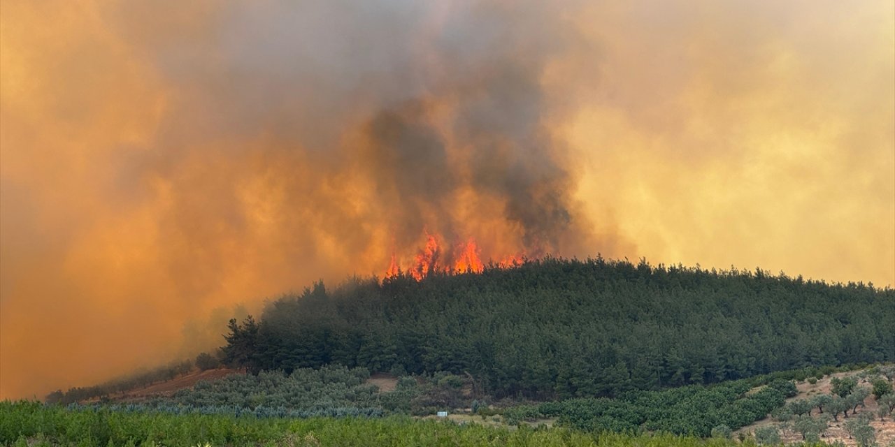 Bursa’daki orman yangını büyüyor