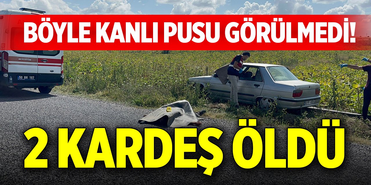 Böyle kanlı pusu görülmedi! 2 kardeş öldü