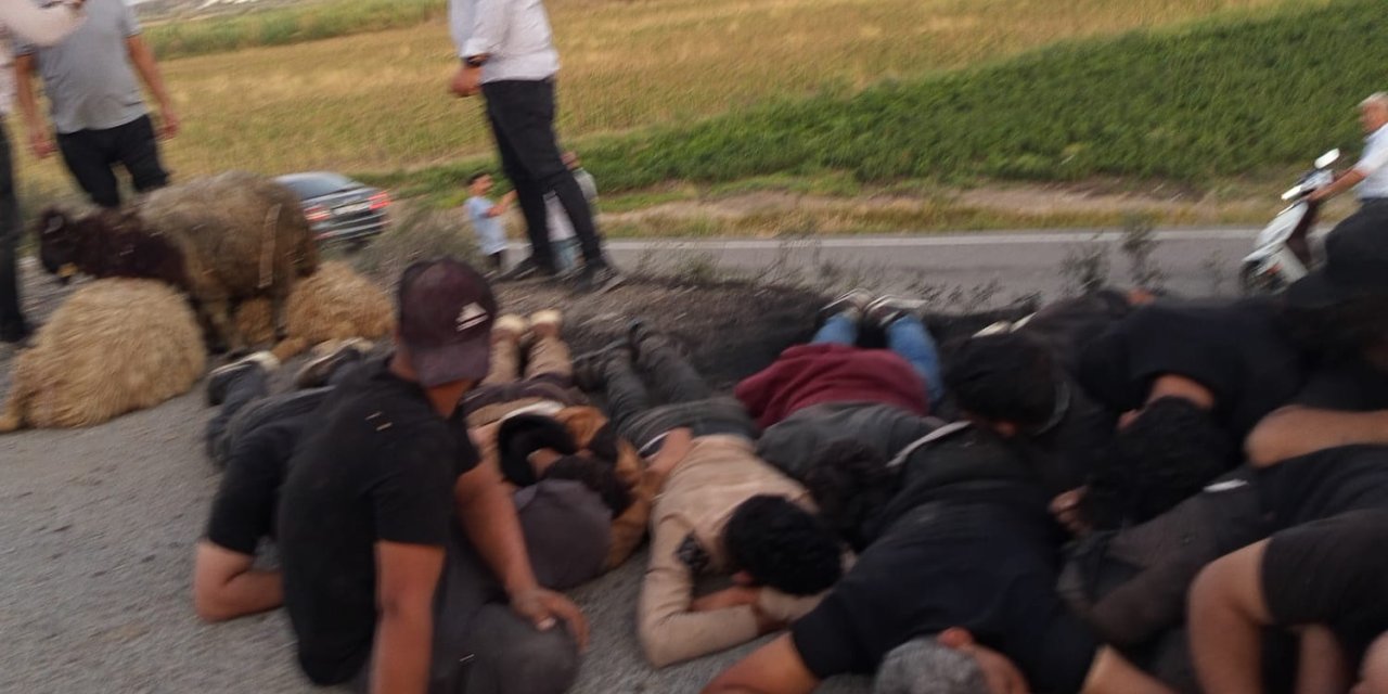 Koyun sürüsüne çarpıp, su kanalına düşen otomobilden 14 kaçak göçmen çıktı