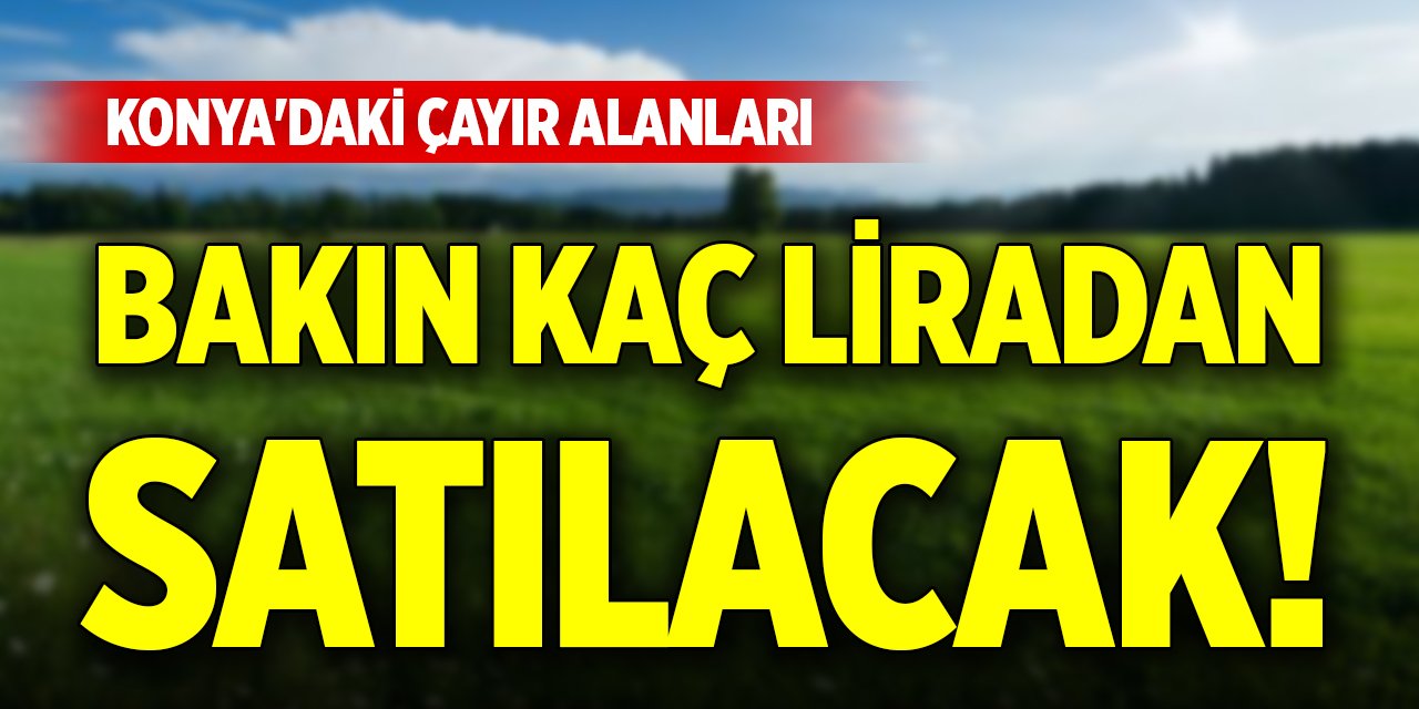 Konya'daki çayır alanları bakın kaç liradan satılacak!