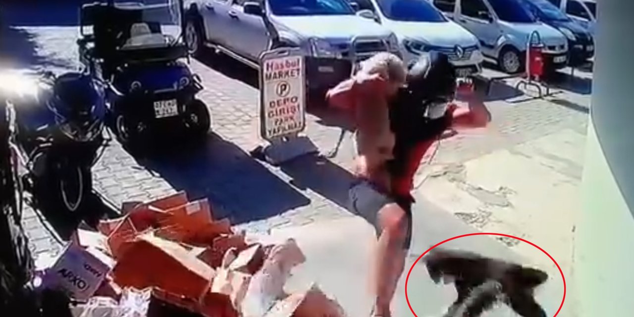 Kediyi tekmeledi! Gözaltında
