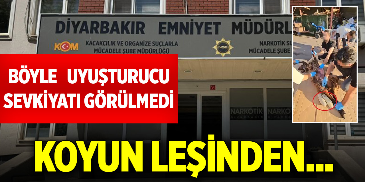 Böyle uyuşturucu sevkiyatı görülmedi! Koyun leşinden...