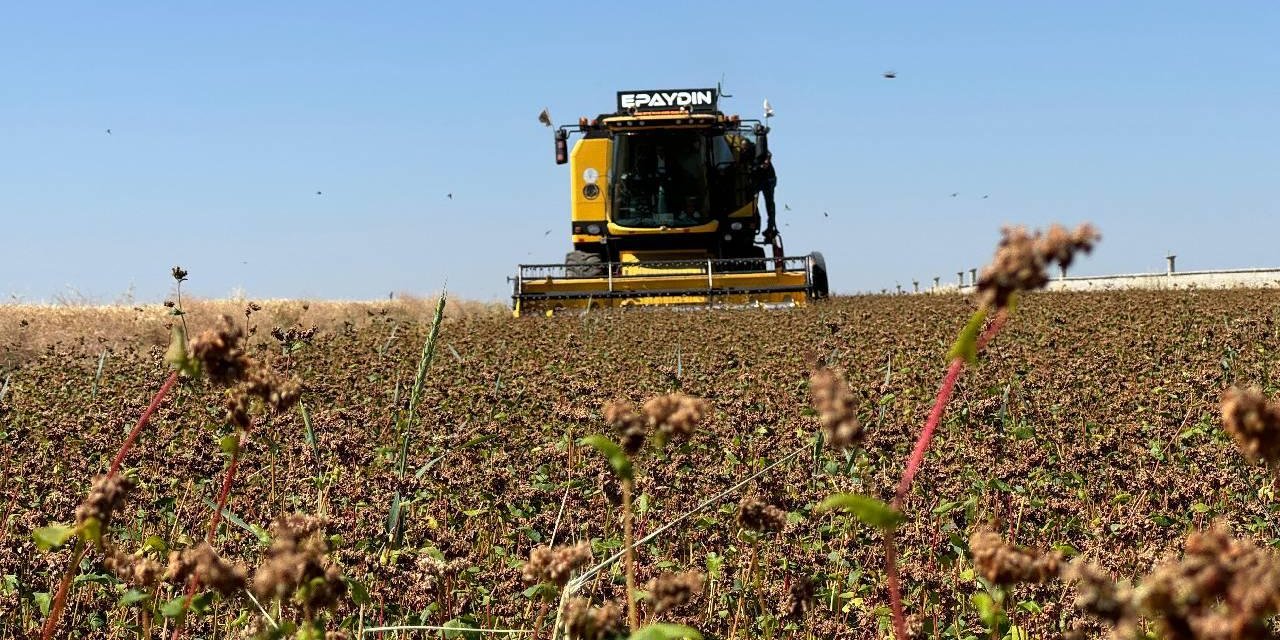 Çiftçilere destekleme ödemesi bugün yapılacak