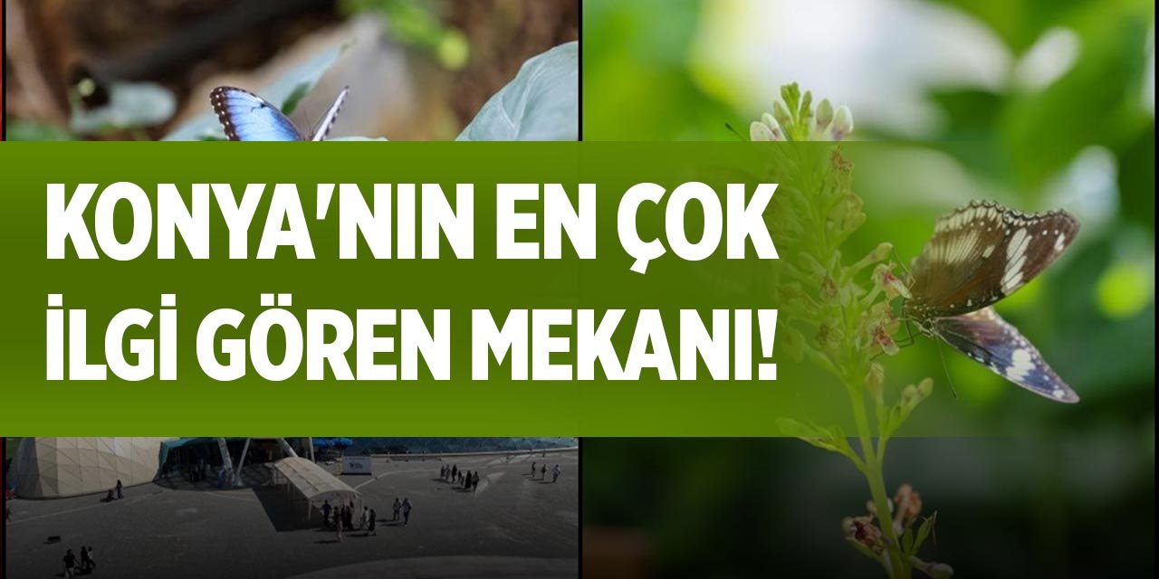 Konya'nın en çok ilgi gören mekanı!