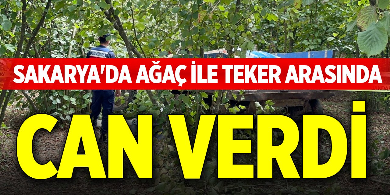 Sakarya'da ağaç ile teker arasında can verdi