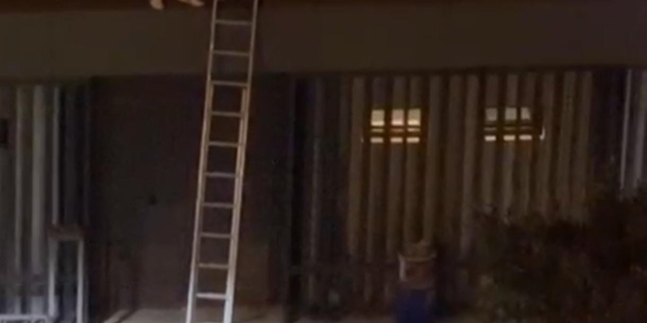 Konseri izlemek için çatıya çıkan gençlere şiddet uygulayan kişi tutuklandı