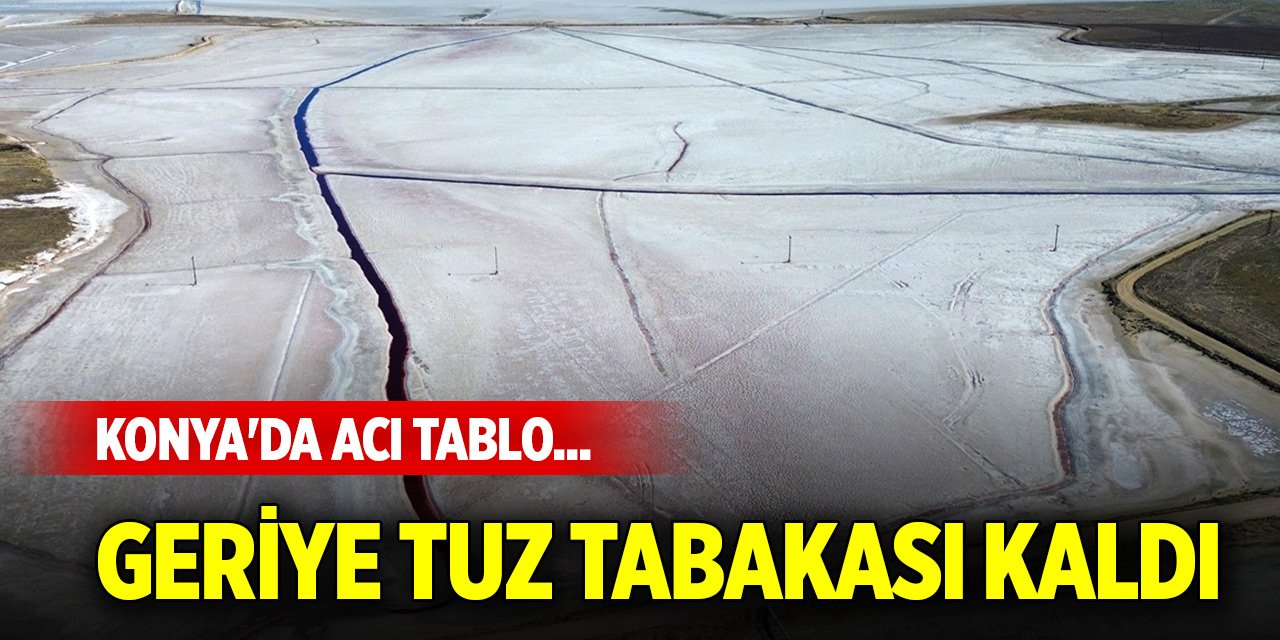 Konya'da acı tablo... Geriye tuz tabakası kaldı