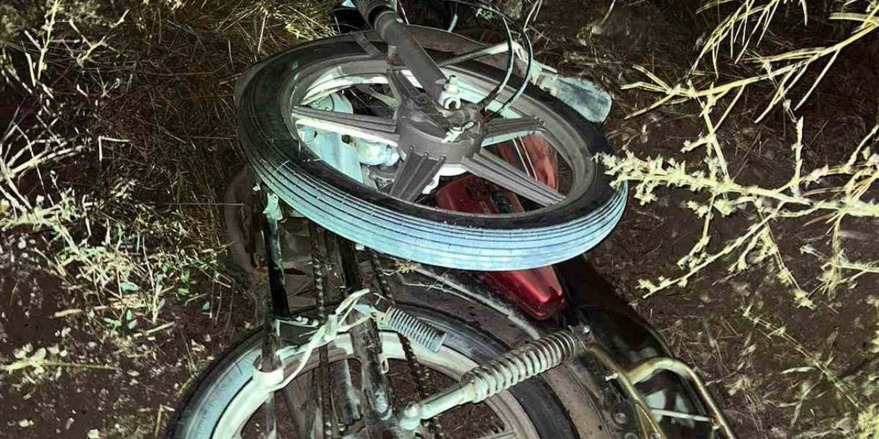 Motosikletiyle domuza çarpan genç hayatını kaybetti