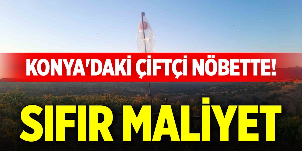 Konya'daki çiftçi nöbette! Sıfır maliyet