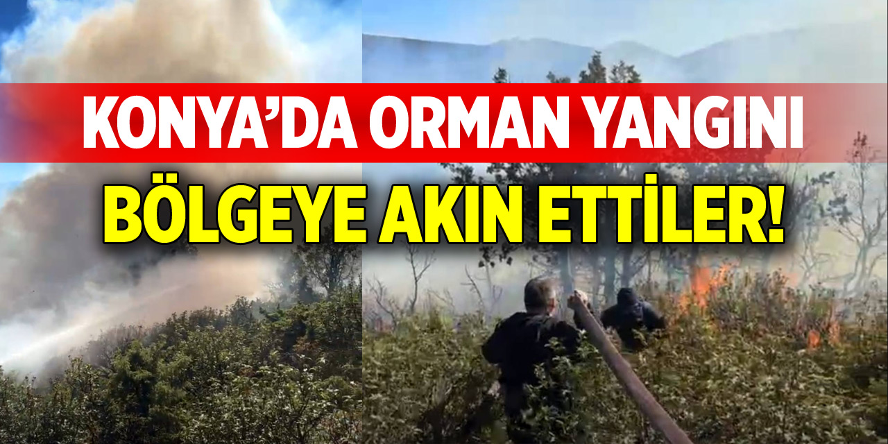 Konya'da orman yangını! Bölgeye akın ettiler