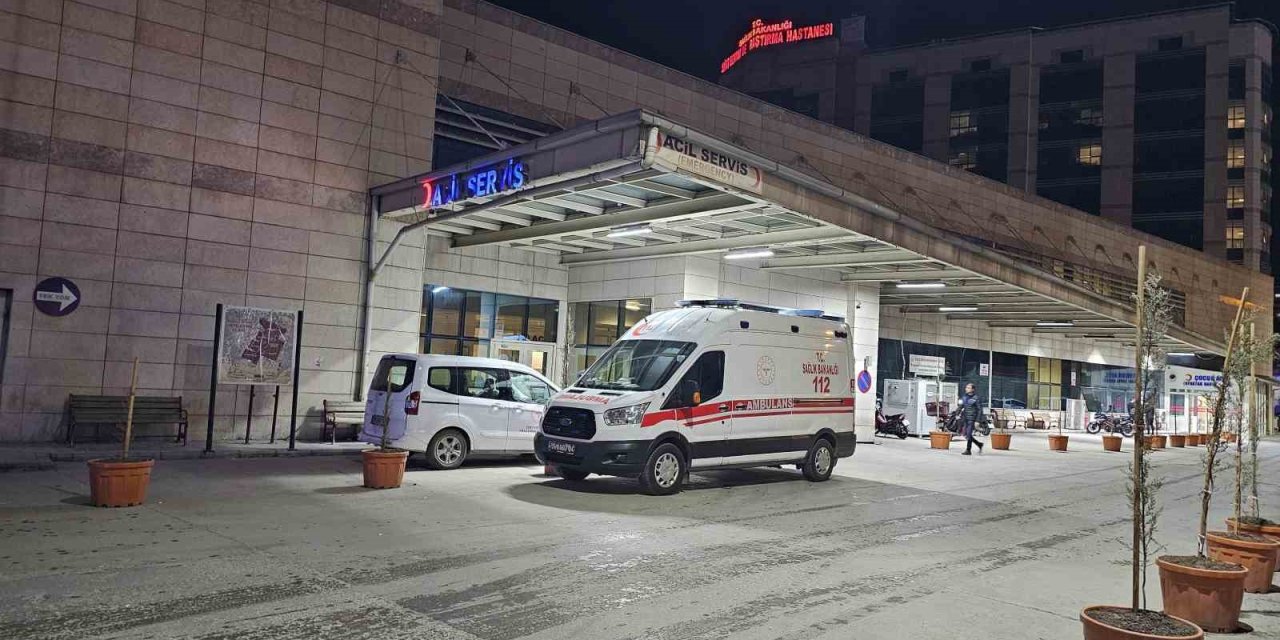 Ağaçtan düşen şahıs hayatını kaybetti