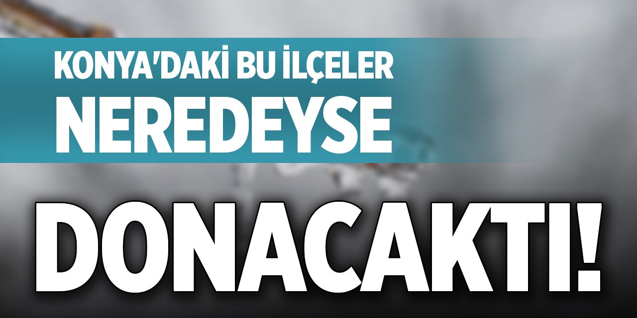 Konya'daki bu ilçeler neredeyse donacaktı!