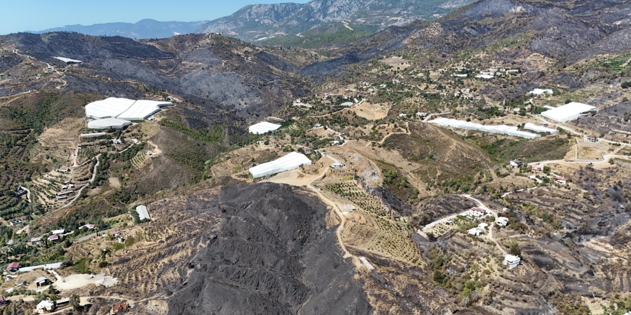 Antalya'daki orman yangınlarında 1350 hektar alan zarar gördü