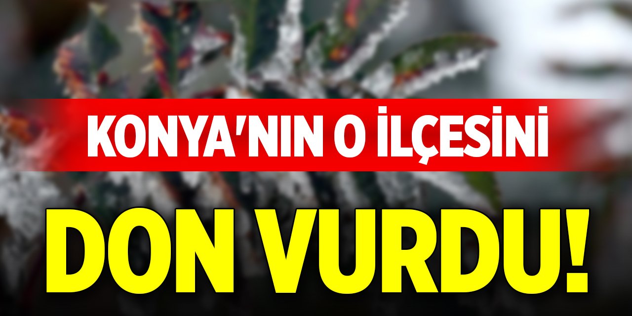 Konya'nın o ilçesini don vurdu!