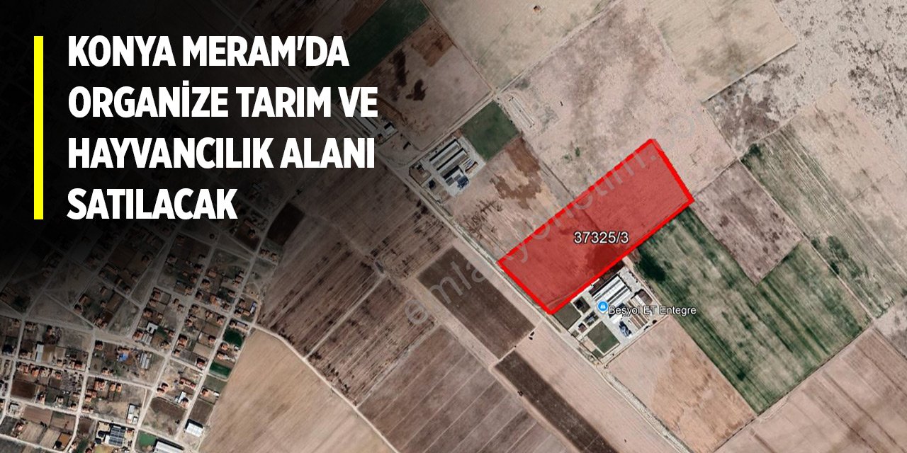 Konya Meram'da organize tarım ve hayvancılık alanı satılacak