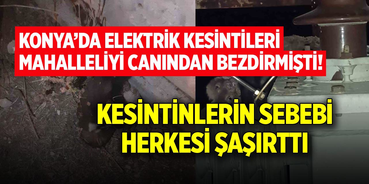 Konya'da vatandaşı çileden çıkaran elektrik kesintilerinin sebebi şaşırttı!