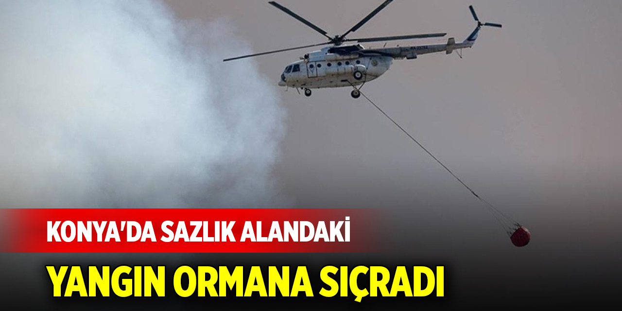 Konya'da sazlık alandaki yangın ormana sıçradı