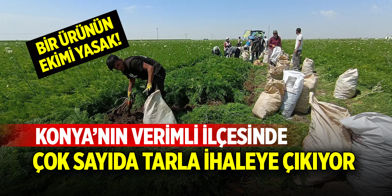 Konya’da çok sayıda tarla ihaleye çıkıyor