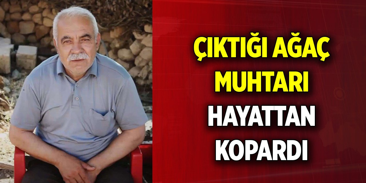 Çıktığı ağaç muhtarı hayattan kopardı