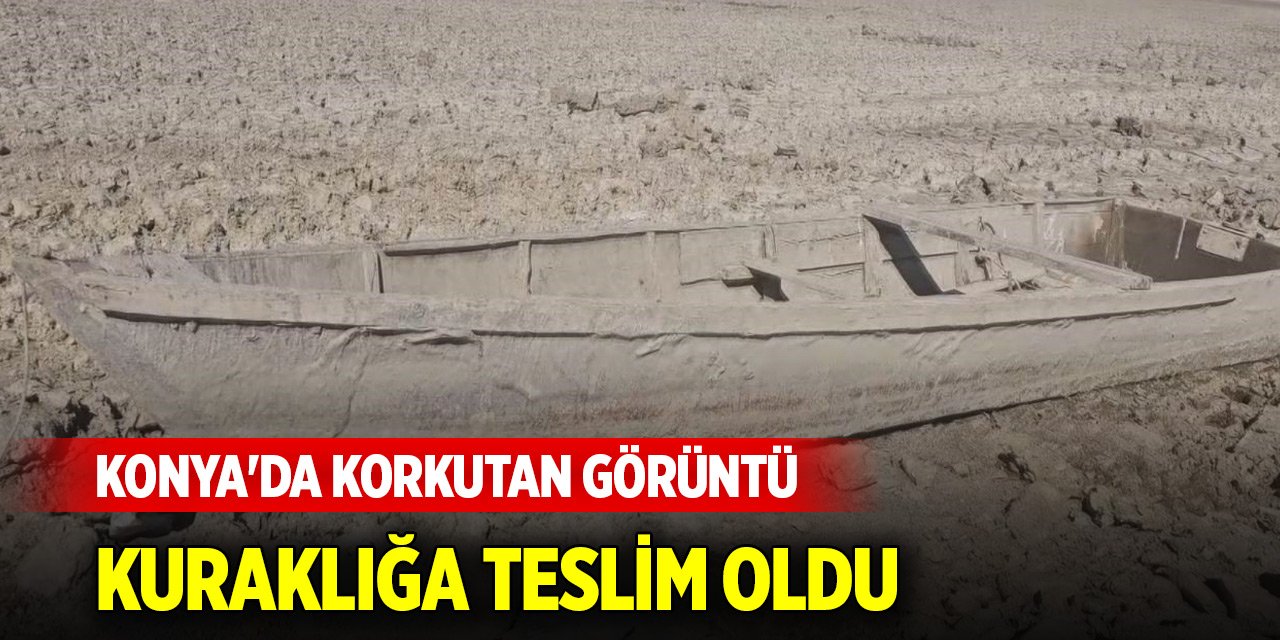 Konya'da korkutan görüntü... Kuraklığa teslim oldu