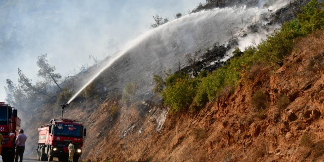 O ildeki orman yangını kontrol altında