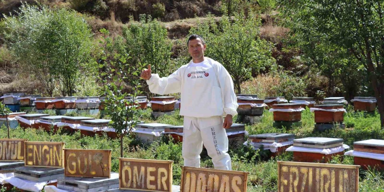 Arılarına yazmayı öğretti