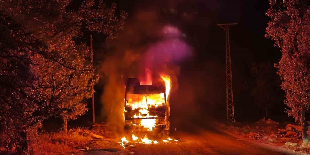 Park halindeki kamyon cayır cayır yandı