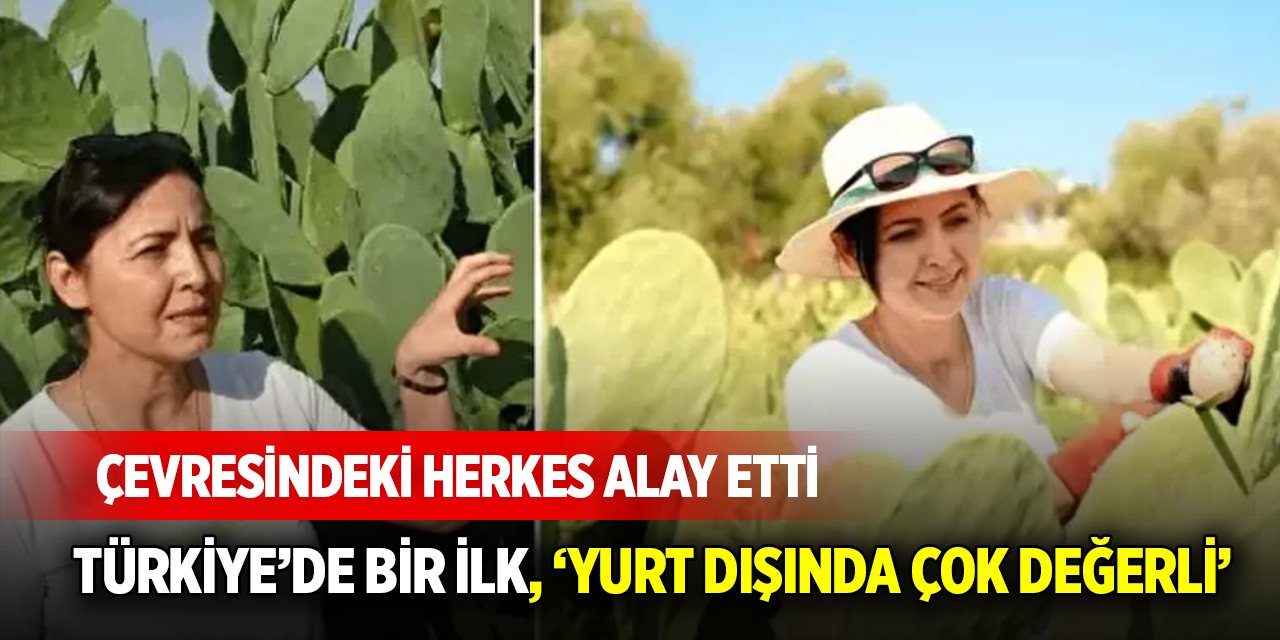Çevresindeki herkes alay etti: Türkiye’de bir ilk, ‘yurt dışında çok değerli’