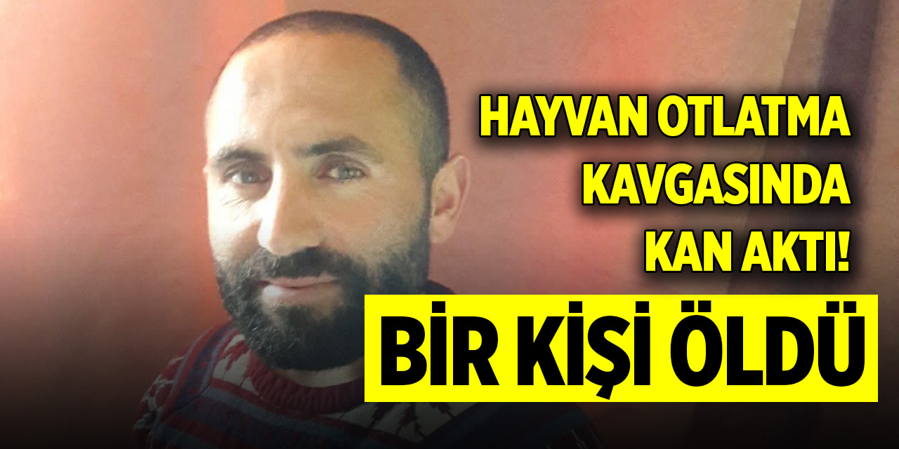 Hayvan otlatma kavgasında kan aktı!  Bir kişi öldü